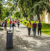 unit 2 - family and friends